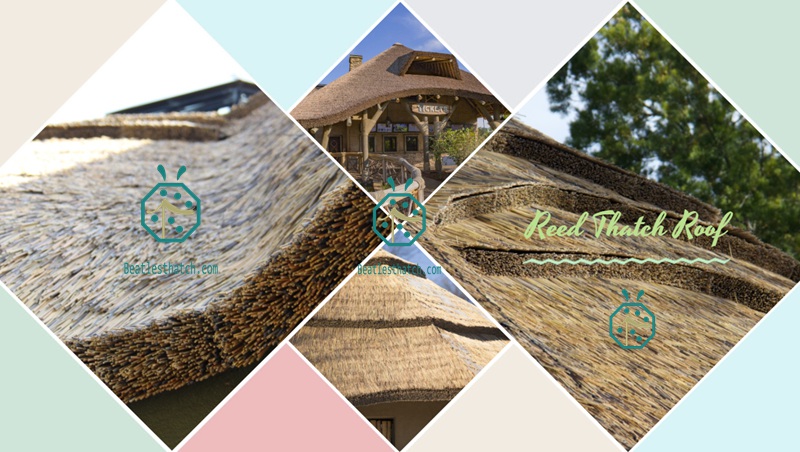 Synthetic Reed Rod Thatched Roof For Bungalow Structures