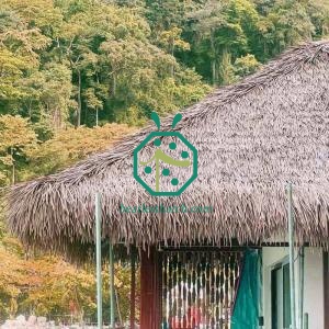 استبدال سقف البنغل فوق الماء بقش كادجان الاصطناعي