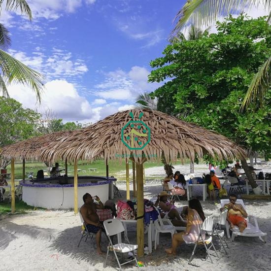 Beach Bar Palm Thatch Roof Synthetic Material