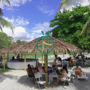 Beach Bar Palm Thatch Roof Synthetic Material