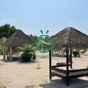 سقف من سعف النخيل مقاوم للماء ومناسب لجميع الأحوال الجوية، مثالي للوجهات السياحية في بالاو