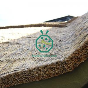 Flame Retardant Synthetic Water African Reed Thatch Roof Israel