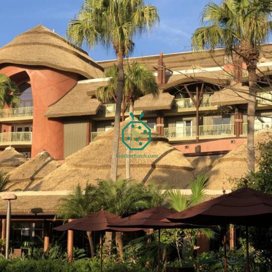 Fireproof Reed Thatch Roofing Materials For Palapa