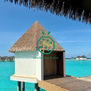 UV-Retardant Plastic Attap Thatch Roof Panels For Wooden Shelter