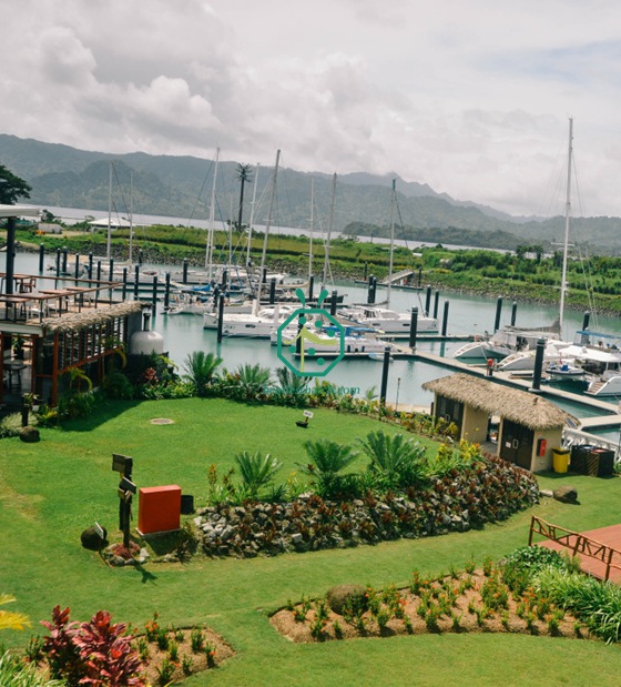 سقف من ألياف النخيل لتزيين منزل فيجي بور