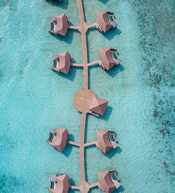 تصميم فندق رائع من الدرجة الأولى جزر المالديف العابرة للقارات ماموناغاو منتجع