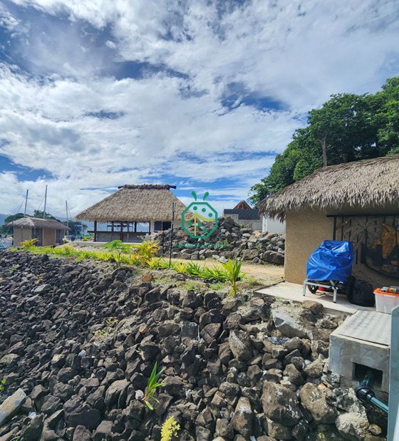 بناء منزل في جزيرة فيجي باستخدام ألواح قش النخيل الاصطناعية
